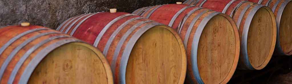 casa-de-mouraz-barrels wine barrels