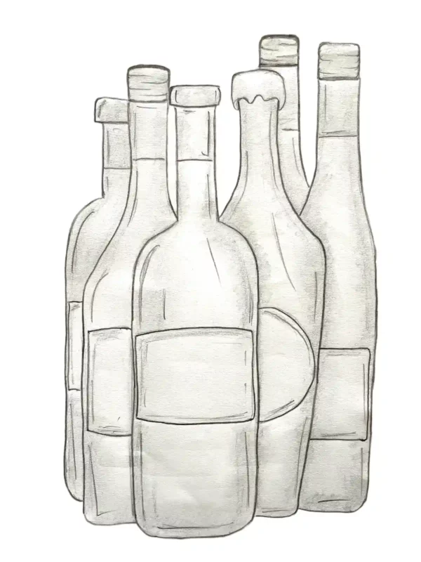 6 bottles specially selected for you